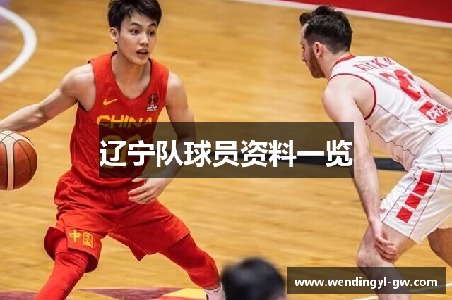 辽宁队球员资料一览