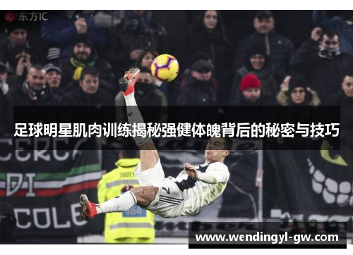 足球明星肌肉训练揭秘强健体魄背后的秘密与技巧