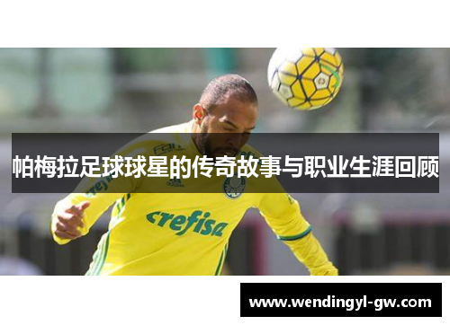 帕梅拉足球球星的传奇故事与职业生涯回顾