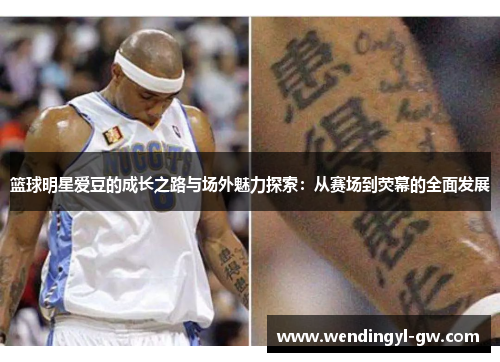 篮球明星爱豆的成长之路与场外魅力探索：从赛场到荧幕的全面发展